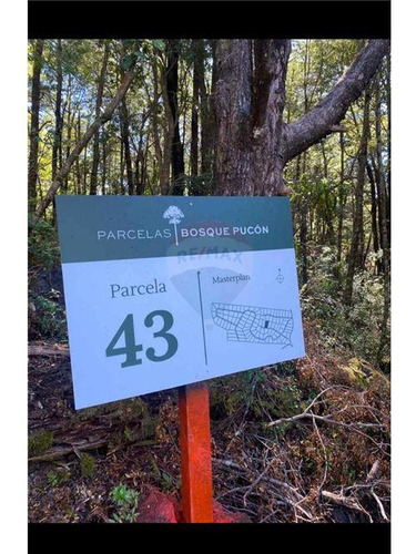 Venta Parcela Bosque Pucón