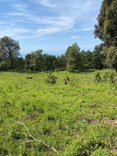 Gran Terreno En Paraje Palacio