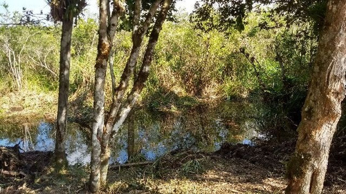 Excelente Área À Venda No Gaivota - Itanhaém 4690 | Sanm