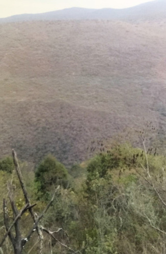 Rancho En Venta Ubicado En Pinal De Amoles, Queretaro