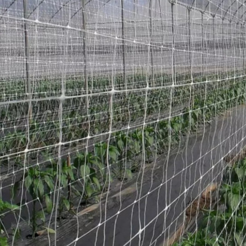 Malla Para Soporte De Tomates 1.5x200m Cuadro De 25x25cm