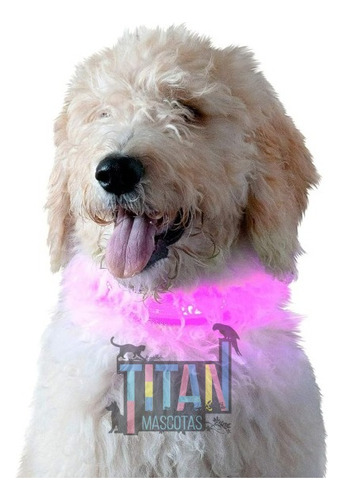 Collar Led Para Perros Ajustable Con Luz 3 Modos 