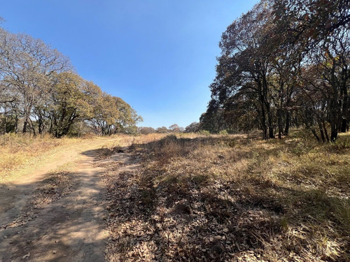 Vendo 3 Terrenos Entre Real De Valle Escondido Y Carr. Mex-guadalajara Vte781