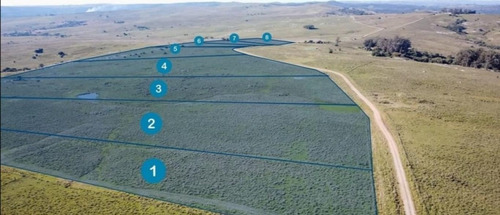Imagen 5 de 6 de Venta Chacra Campo 142 Hectareas Vista Sierra Minas Lavalleja