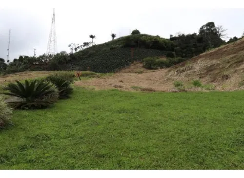 Venta Lotes - Vereda La Esperanza - Pereira