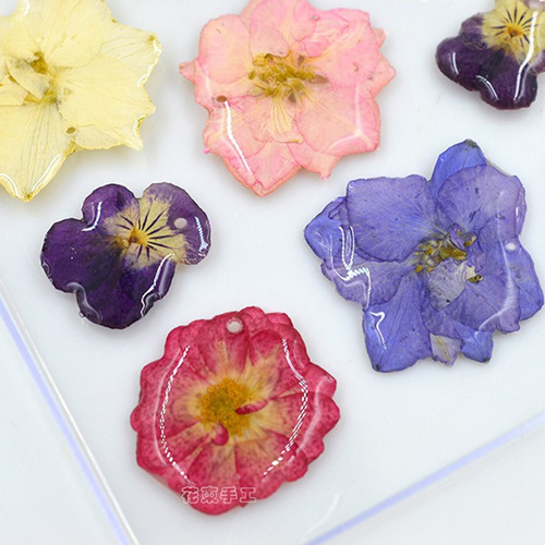 12 Piezas De Prensado De Flores Naturales De Semen Secado