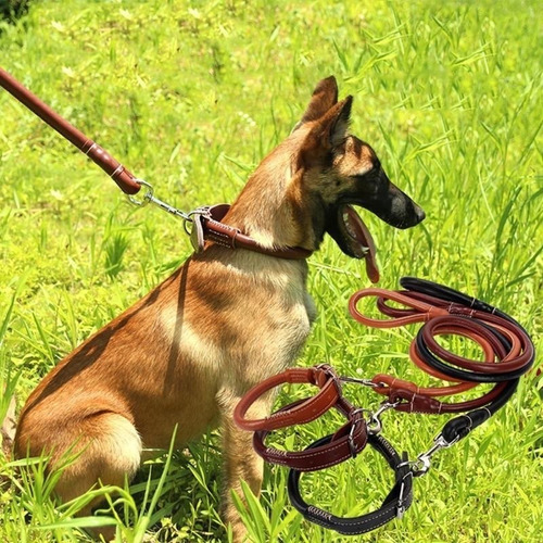 Juego De Collar Y Correa For Perro De Piel Sintética,