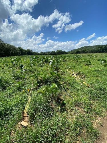 Vendo Finquita En Rio Yuboa