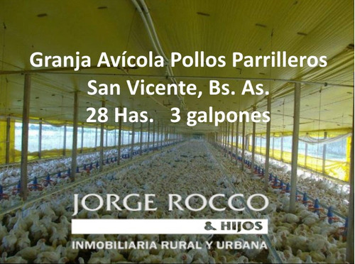 Granja Avicola Funcionando - Produccion De Pollos Parrilleros