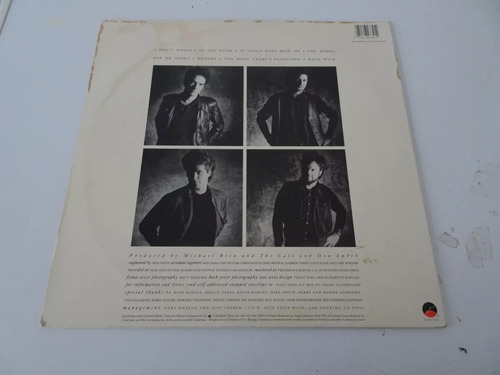 The Call  Into The Woods  Vinilo Aleman Impecable Jcd055