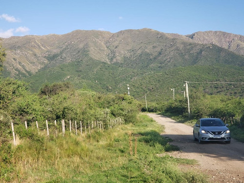 Imagen 3 de 16 de Hermosa Fracción De Bosque En La Zona Mas Alta!!!