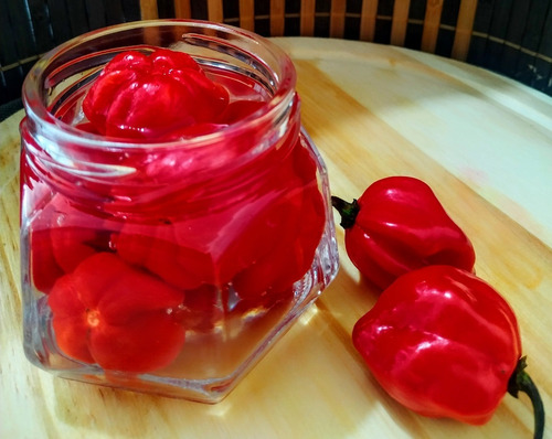 Sementes De Pimenta Boyra Habanero Vermelha 200 Sementes