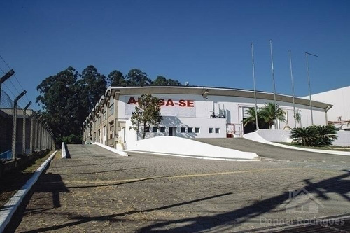 Galpão De Frente Para A Castelo Km 31 - A.c. 4.389 M2 - Terreno 10.000 M² - Pd1717