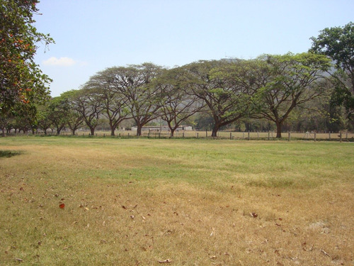 Imagen 6 de 13 de Vendo Finca 2.680.000 M2 El Consejo