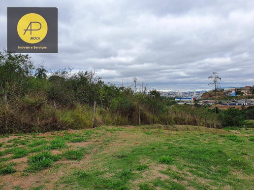 Imagem 8 de 30 de Terreno À Venda, 3557 M² Por R$ 480.000,00 - Jardim Ponte Grande - Mogi Das Cruzes/sp - Te0045