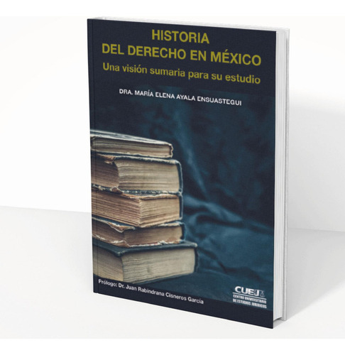 Historia Del Derecho En México, De Ayala Ensuastegui, María Elena., Tapa Pasta Blanda, Edición 1 En Español, 2020