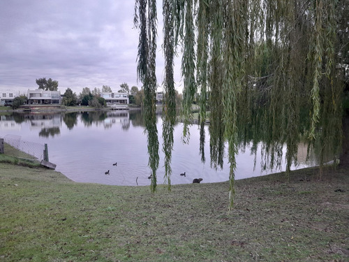Venta Lote Al Lago En Los Alisos, Nordelta, Tigre