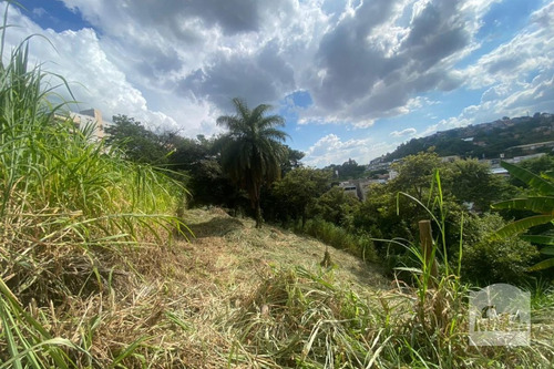 Imagem 6 de 13 de Lote À Venda No Alto Caiçaras - Código 276550 - 276550
