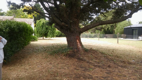 Imagen 2 de 2 de Oportunidad Lote 10 X 34 M Muy Cerca De La Ruta...