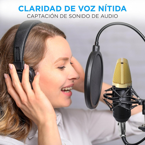 Microfono Pyle Pdmic71 Condensador Cardioide Dorado