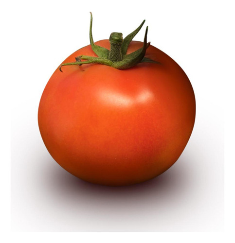 Semilla De Tomate Bola Variedad Svth2900 5000 Semillas