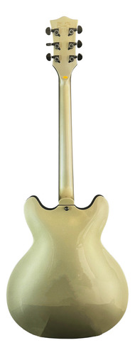 Guitarra Semi-acústica Waldman Hollow Body Gho220s Gp Cor Cinza Material do diapasão Pau-rosa Orientação da mão Destro