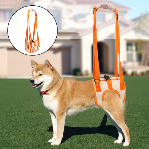 . Perros Espalda Patas Traseras Arnés De Soporte For Patas