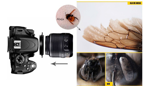 Anillo Para Invertir Lente-fotografía Macro Para Canon 58mm.