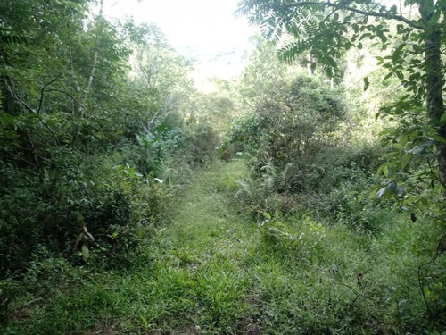 Imagem 6 de 12 de Área Rural Para Venda Em Mariana Pimentel, Potreiro Grande - 1172_1-1615378