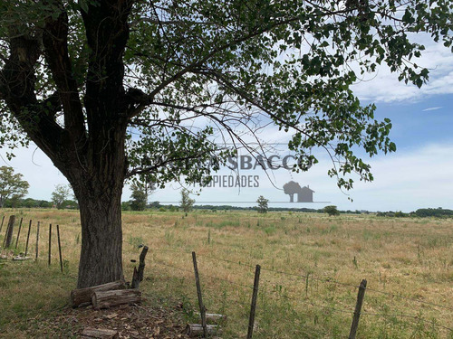 Imagen 1 de 30 de Hermoso Campo De 5 Hectáreas
