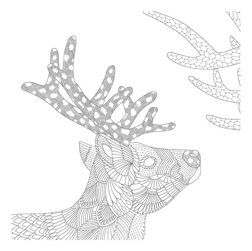 Aventuras Animales - Una Aventura Para Colorear - Libro