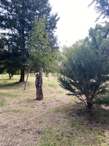 Lote En Venta En Barrio Las Ranas - Paraje La Balandra - Berisso