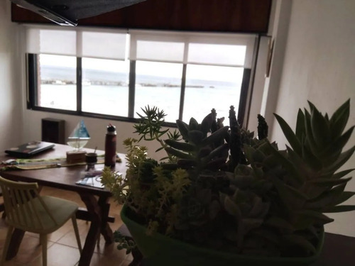 Imagen 11 de 13 de Departamento Con La Mejor Vista Del Golfo- Puerto Madryn/ 4p