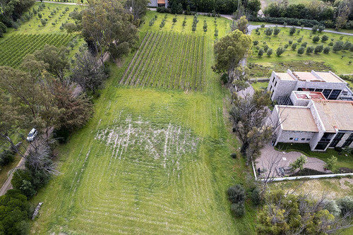 Lote En Venta En San Miguel De Allende: Viñedo San Lucas