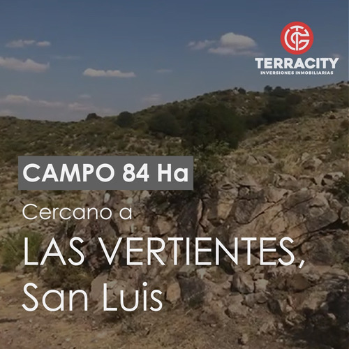 Campo En Venta De 84 Ha Ubicado En Cercanías A Las Vertientes, Provincia De San Luis 