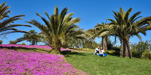 Imagen 10 de 10 de Vista Parque