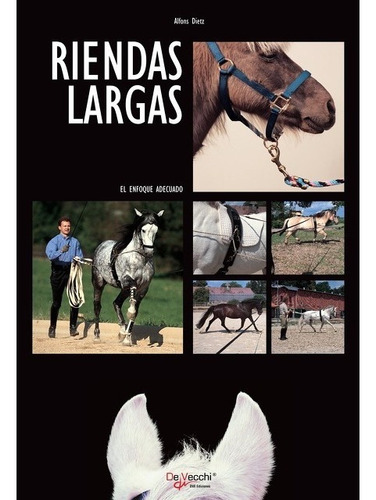 Riendas Largas Caballo Caballos Equitación