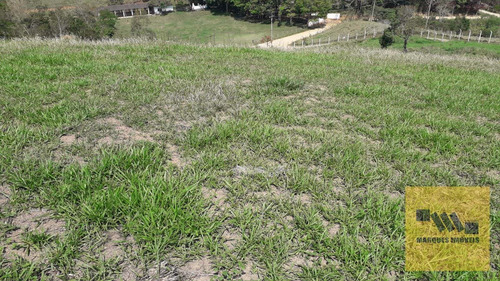 Imagem 4 de 13 de Terreno Em Monte Negro - Santa Isabel - 4041