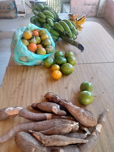 Chácara Local Lindo E Sossegado Para Quem Quer Páz