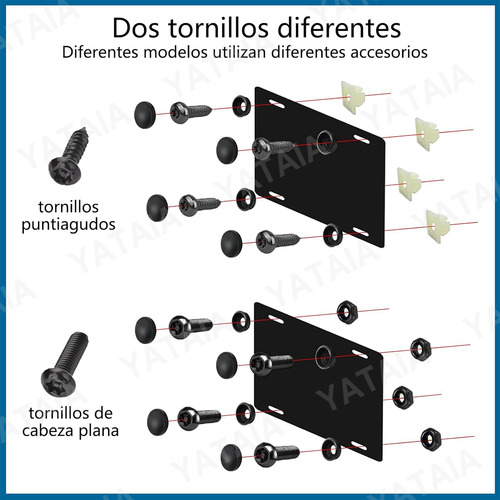 Tornillo Y Pijas Portaplacas Vehiculo Antirrobo Acero Inox