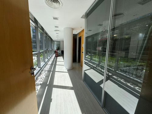 Oficina Premium En Alquiler En Madero Center-puerto Madero