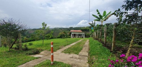 Imagen 11 de 20 de Hermosa Finca Cerca A Pereira