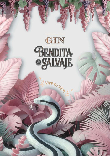 Combo Gin Bendita & Salvaje + Gin Curve 750cc + 2 Botanicos