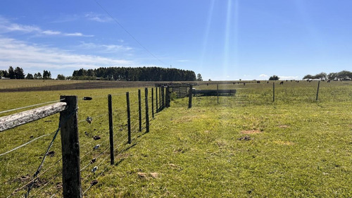 Imagen 12 de 30 de Campo Sobre Autopista Ruta 14 Colón Entre Ríos