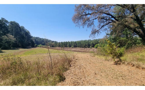 Proyecto Nuevo En Venta, Amento