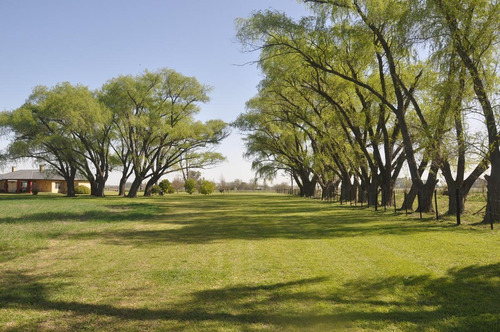 Imagen 5 de 30 de Venta Campo 19has Torres Lujan