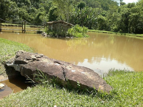 Imagem 3 de 16 de Terreno - Condomínio Jardim Das Paineiras - Te0649