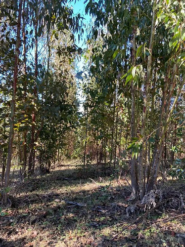 Parcela De 5,94 Hectáreas Comuna Loncoche
