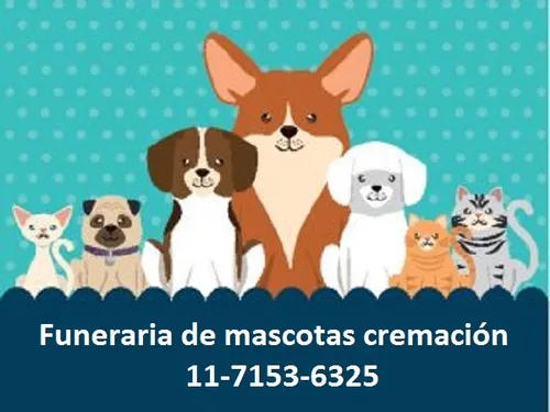 Cremación De Mascotas Zona Sur Y Gba