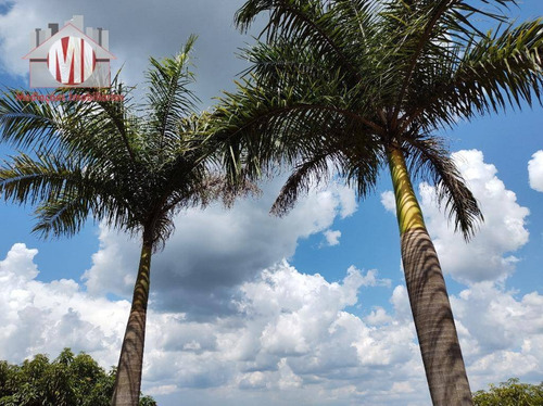 Chácara Maravilhosa Com 03 Dormitórios, Linda Vista, Arborizada, Bairro Povoado À Venda, 2089 M² Por R$ 330.000 - Zona Rural - Pinhalzinho/sp - Ch0916